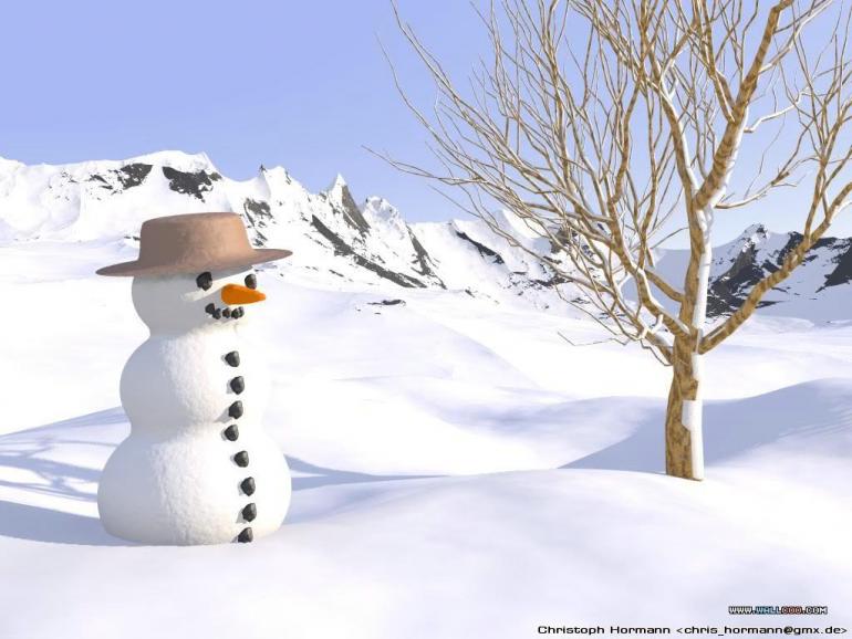 the-funny-snowman_1024x768.jpg