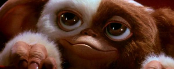 gizmo-600x240.jpg