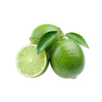 Limette-08.png.6203c582ef00e1325a428ef80e2725e5.png