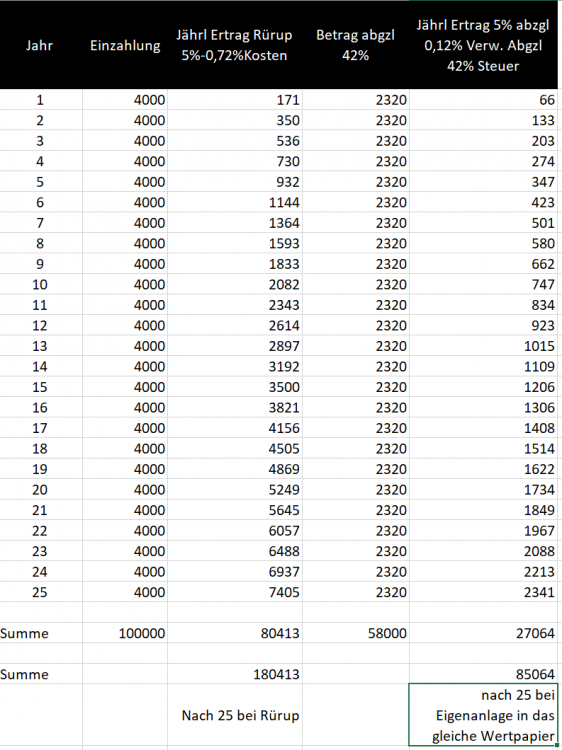 2021-12-24 13_15_50-rürup.xlsx - Excel.png
