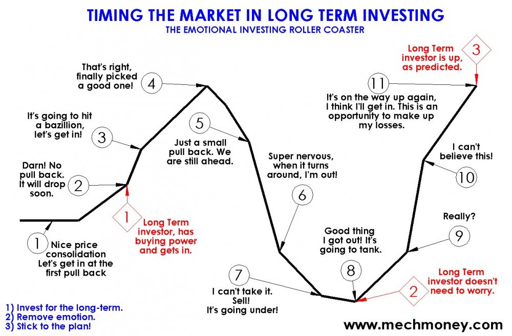 Timing-the-Market-Long-Term-Investing-1.thumb.jpg.91100f6e0ef2ce1771e3f8a56807e425.jpg