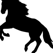 ArnoldAI